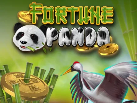 Fortune Panda 777fun: Melhores Estratégias para Ganhar no Jogo de Slots