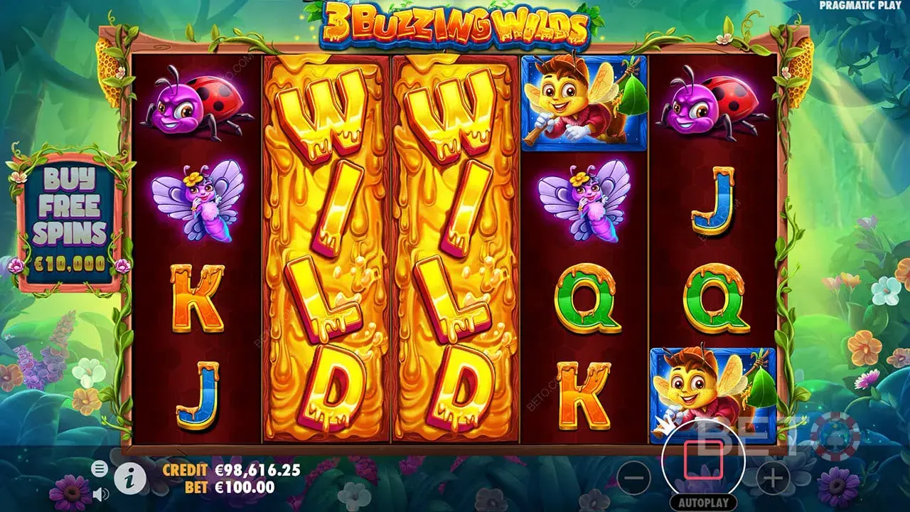 3 buzzing wilds dicas